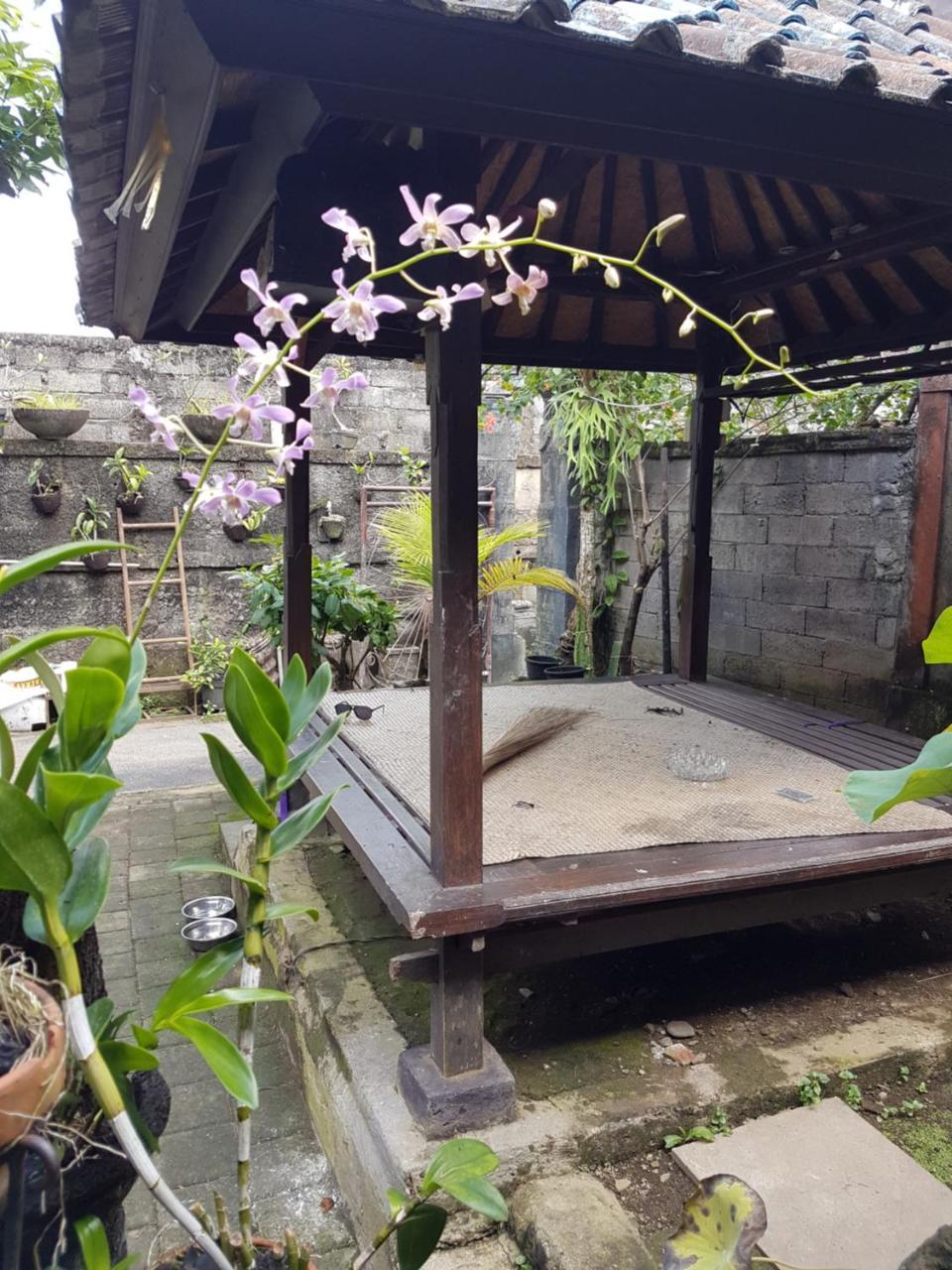 Mawar Homestay Canggu المظهر الخارجي الصورة