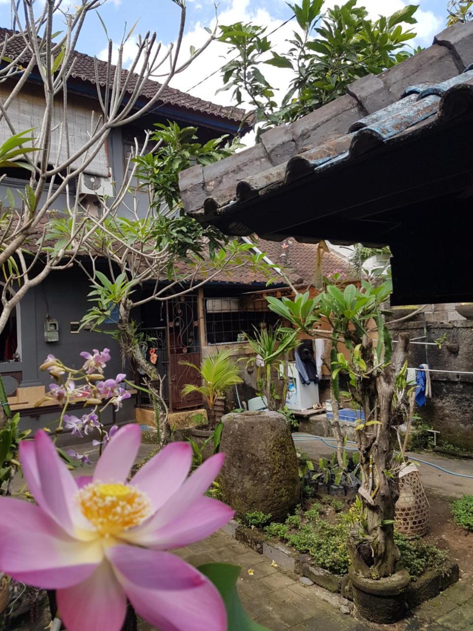 Mawar Homestay Canggu المظهر الخارجي الصورة